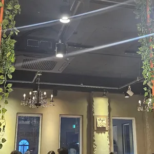황금코다리 리뷰 사진