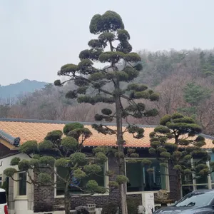 옥류헌릴렉스 리뷰 사진
