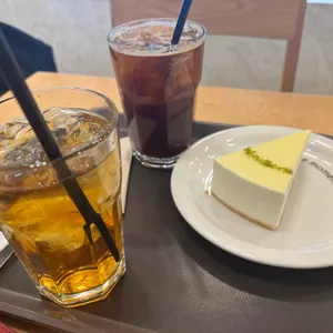 한스 사진