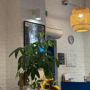 바노이 리뷰 사진