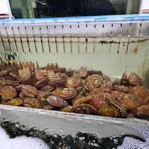 신화수산 리뷰 사진