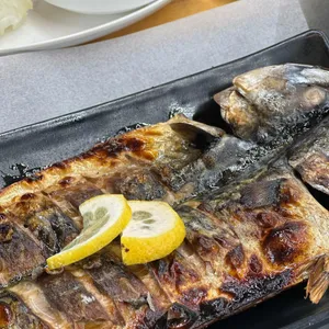 춘심이네 사진