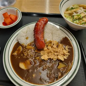 아비꼬 사진