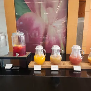 섬모라 사진