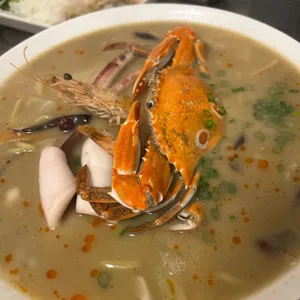 토모 사진