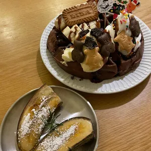 로지포지 사진