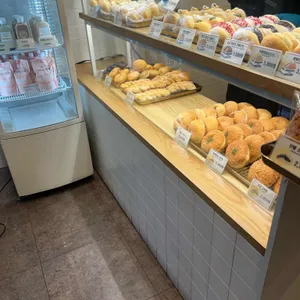파파도나스 사진