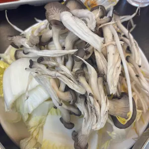 편편집 사진