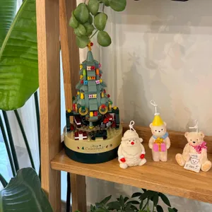 밀림 리뷰 사진