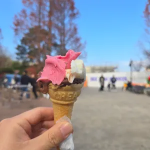 경주월드터키아이스크림 사진