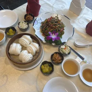 하이보 사진