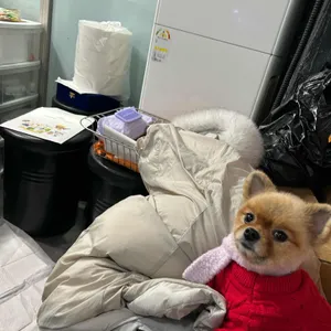 제주돈육짜투리 리뷰 사진