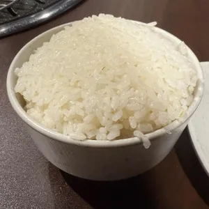 오일내 사진