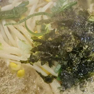콩부자 사진