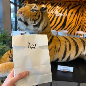 제주호랭이 사진