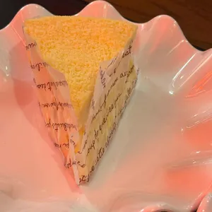 커피나무 사진 2