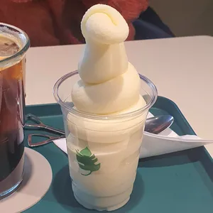 식물학 사진