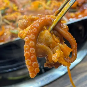 꽃낙지 사진