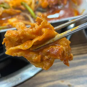 꽃낙지 사진