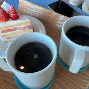 샌디스 사진