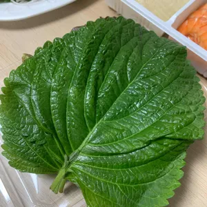 어시장 활어회 사진