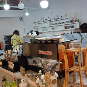 아프리코 리뷰 사진