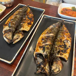 북극해고등어 사진
