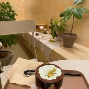 포모르 사진