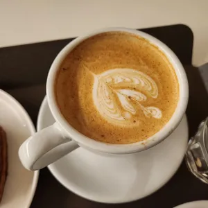 비브레이브 사진