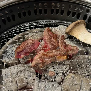 소플러스 사진
