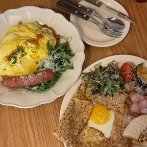 카멜리아 사진