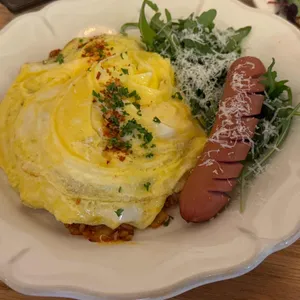 카멜리아 사진