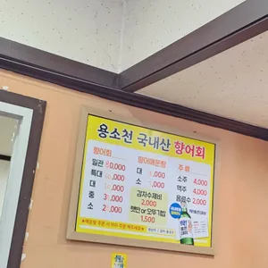 용소천향어회메기매운탕 리뷰 사진