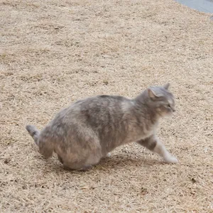 동희네 사진 2