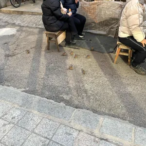 삼청동호떡 리뷰 사진
