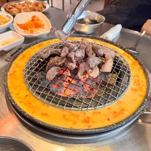 신마포갈매기 사진 2