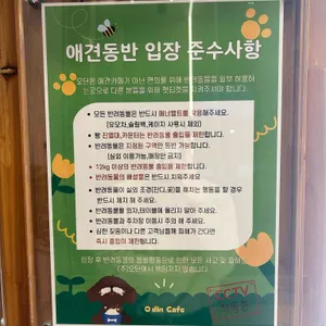 오딘 리뷰 사진