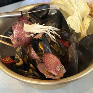 닭동가리 사진