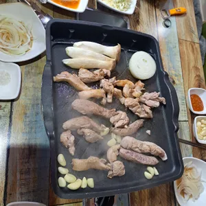 산수정 사진