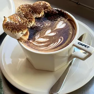 카펫 사진