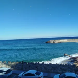 할리스 사진 2