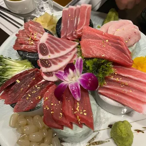 푸른참치 사진