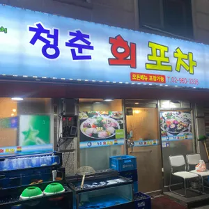 청춘회포차 사진