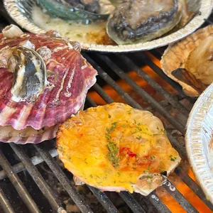 조개대표 사진