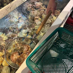 화니조개구이 사진