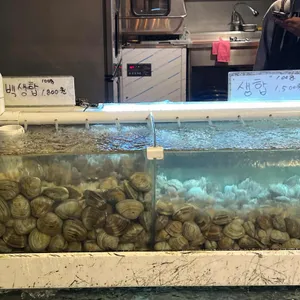 화니조개구이 리뷰 사진
