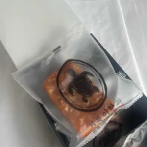 거북이한과 사진