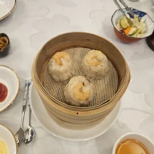 하이보 사진