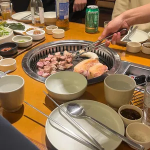 노란돼지 사진