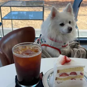 오름 대표 사진